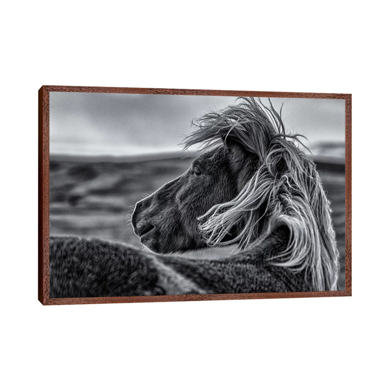 Glance Back by Sunny Ding - Print on Canvas, Classic Brown Wood Floater Framed, 45.72cm H x 66.04cm W x 3.81cm D