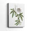 Tropical Botanical I - Cavas enveloppés de galerie-108843873