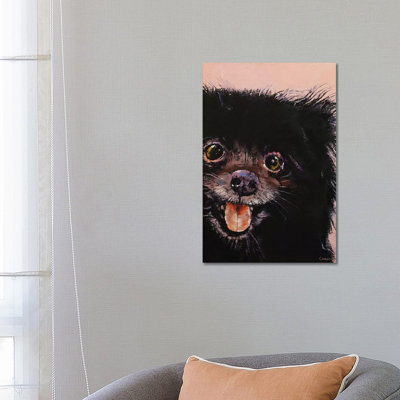 " Black Pomeranian " by Michael Creese