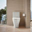 Reach™ Up 1.28 GPF Water Efficient Elongated One-Piece toilet