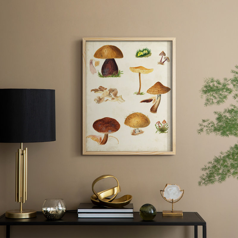 Reproduction encadrée champignon Mushroom Species II, H 30 po x l 24 po, Naturel