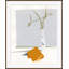 Linens Giclee Print by Susan Hable