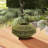 Nova 13.5'' Outdoor Lantern-98197232