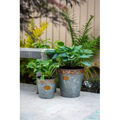 Cassandra Metal Cachepot
