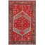 Oriental Area Rug in Rust