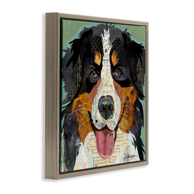Bernese Mountain Dog Collage