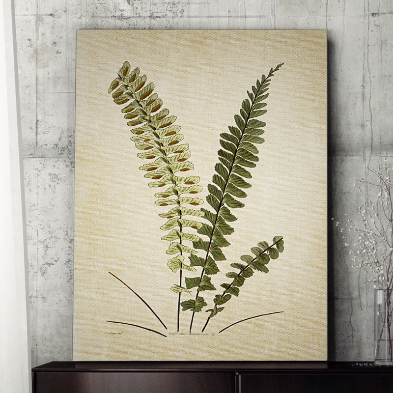 « botanique plate vi », reproduction d’impression sur toile tendue, H 18 po x l 27 po x P 1,5 po
