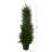 Spiral Cypress Artificial Tree with LED Lights