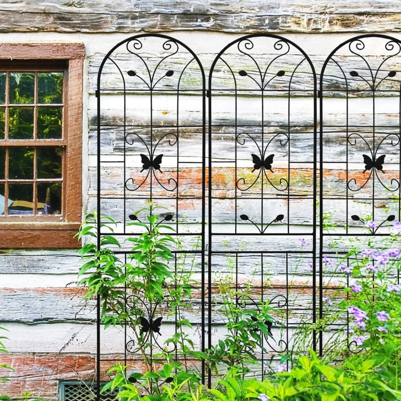 Ensemble de 2 plantes de treillis de jardin en métal antirouille 86,6 "x 19,7", support en fer noir pour les vignes