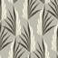 Areca Palm - Wallpaper-114676482-152452638