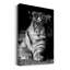«Tiger Repose», toile tendue avec châssis de qualité supérieure - prête à être accrochée-699497830