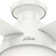 Dempsey Low Profile 44" 4 - Blade Indoor Flush Mount Small Room Ceiling Fan with Lights and Remote