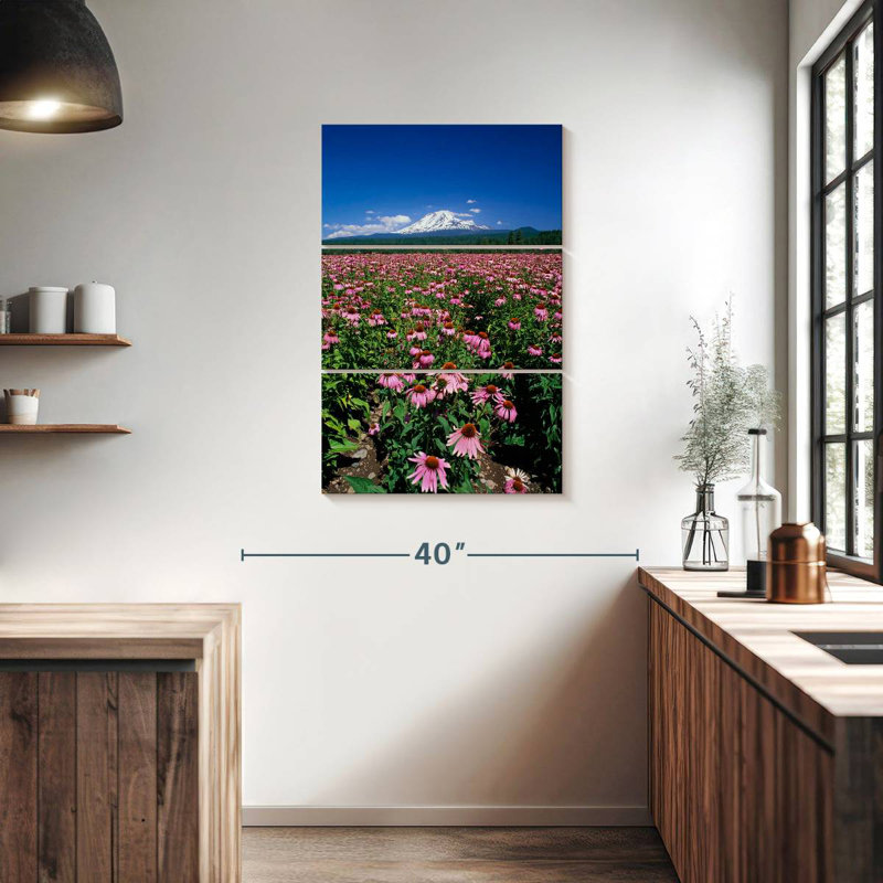 Harnek Echinacea Field, 38" H x 24" W
