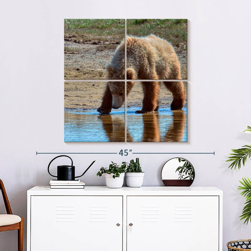 Grizzly ronce dans le parc national de Katmai