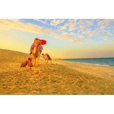 Camels on the Beach - Photographie sur toile tendue