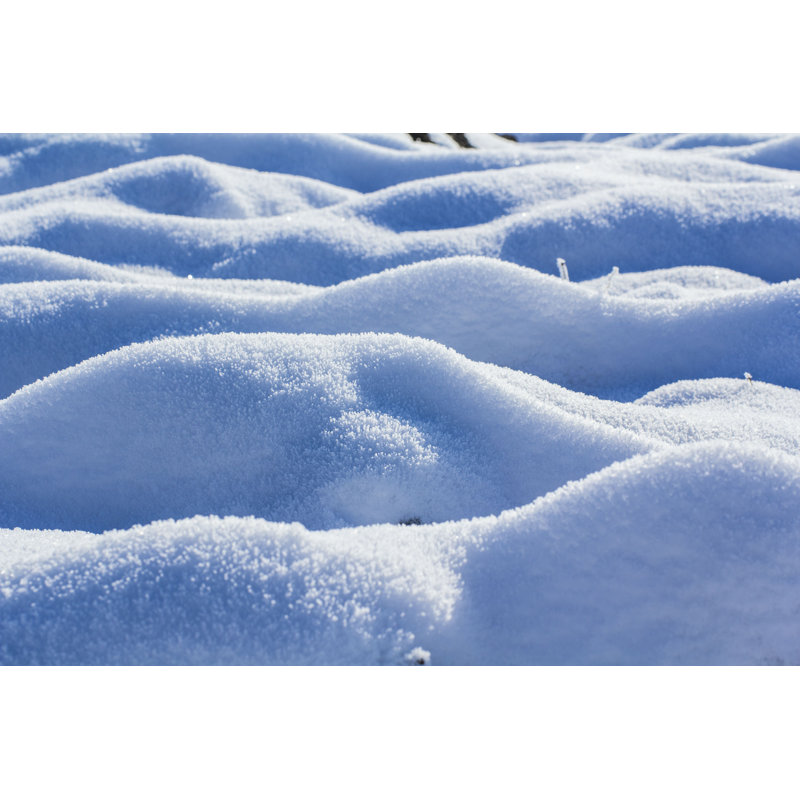 Elnar Snow - Photographie sur toile tendue, H 8 po x l 12 po
