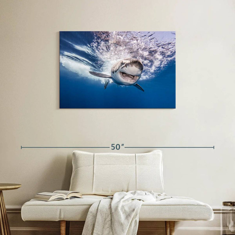 Requin joyeux, H 24 po x l 36 po