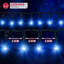LED Christmas Tree Fairy String Lights - Plug In with Timer and Memory Functions-2039011645-2039058838