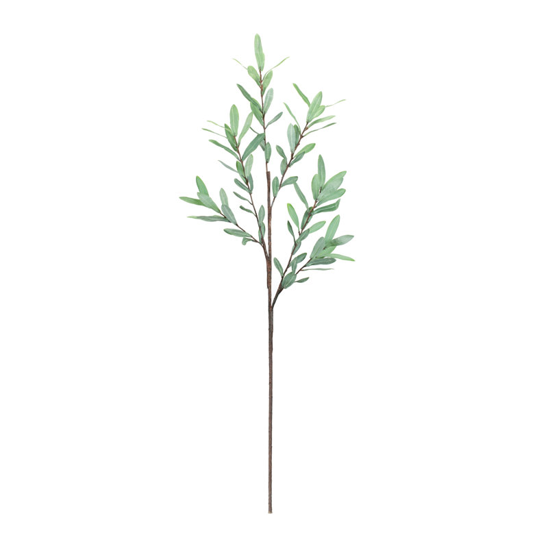 Branche de brindille olive