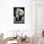 Brampt White African Rhinoceros-108229411