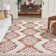 Demartino Southwestern Orange/Ivory Area Rug