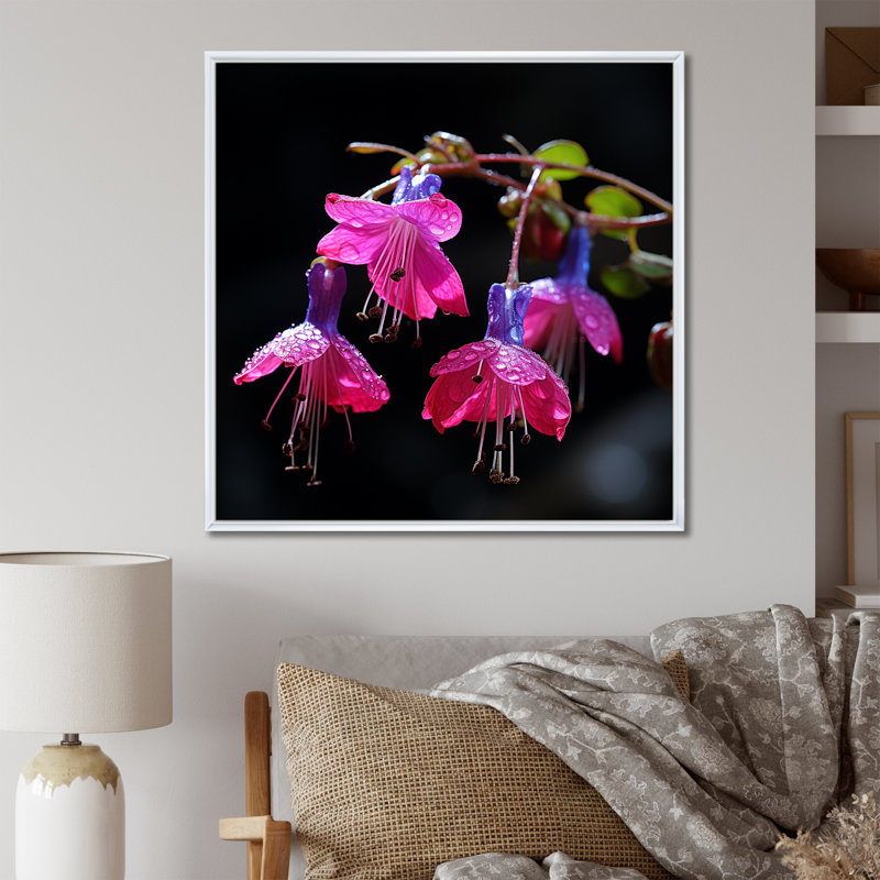 Fleurs de rose fuchsia - art mural fuchsia, Cadre flottant blanc, H 36 po x l 36 po x P 1,5 po