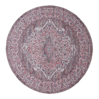 Guyer Chenille Oriental Indoor Rug