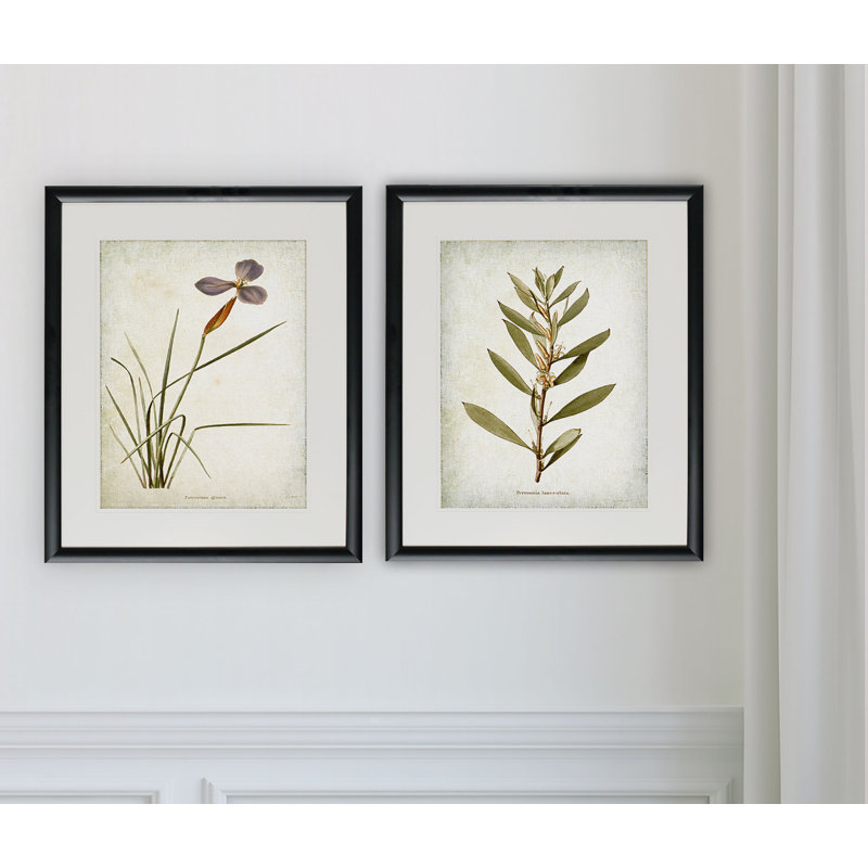 «Vintage Botanical Sketch V», ensemble de 2 reproductions de peintures à l'acrylique encadrées, Cadre noir