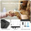 Table de toilettage robuste pour animaux