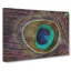 Peacock Feather - Wrapped Canvas-61838388
