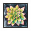 « succulent rosette iv », impression sur toile-32566961-72224660-72224665