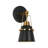 Ivelyn Iron Armed Sconce