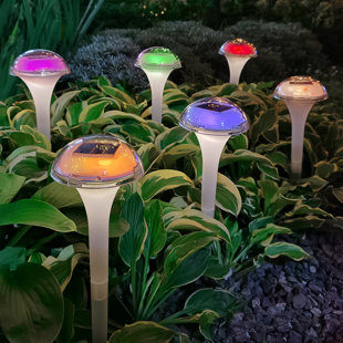 Best Pro Lighting Low Voltage Black Outdoor Landscape Mushroom Pathway Light