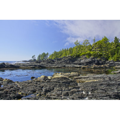 Botanical Beach - Wrapped Canvas Print