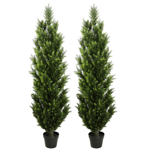 Whole artificial evergreen branches Can Make Any Space Beautiful and  Vibrant 