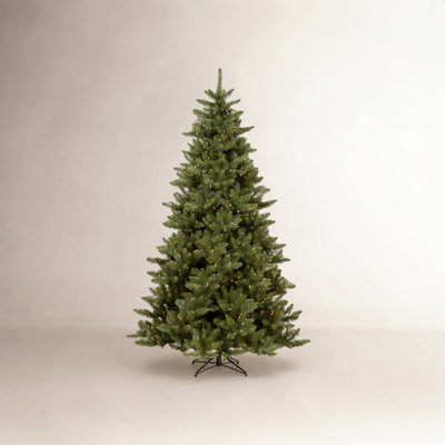 Peabody 14' Fir Christmas Tree