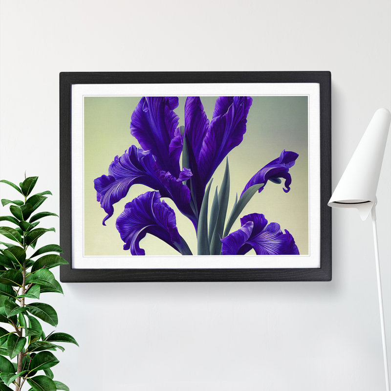Inspiring Iris Flowers - Single Picture Frame Print, Black, 46cm H x 64cm W x 2cm D