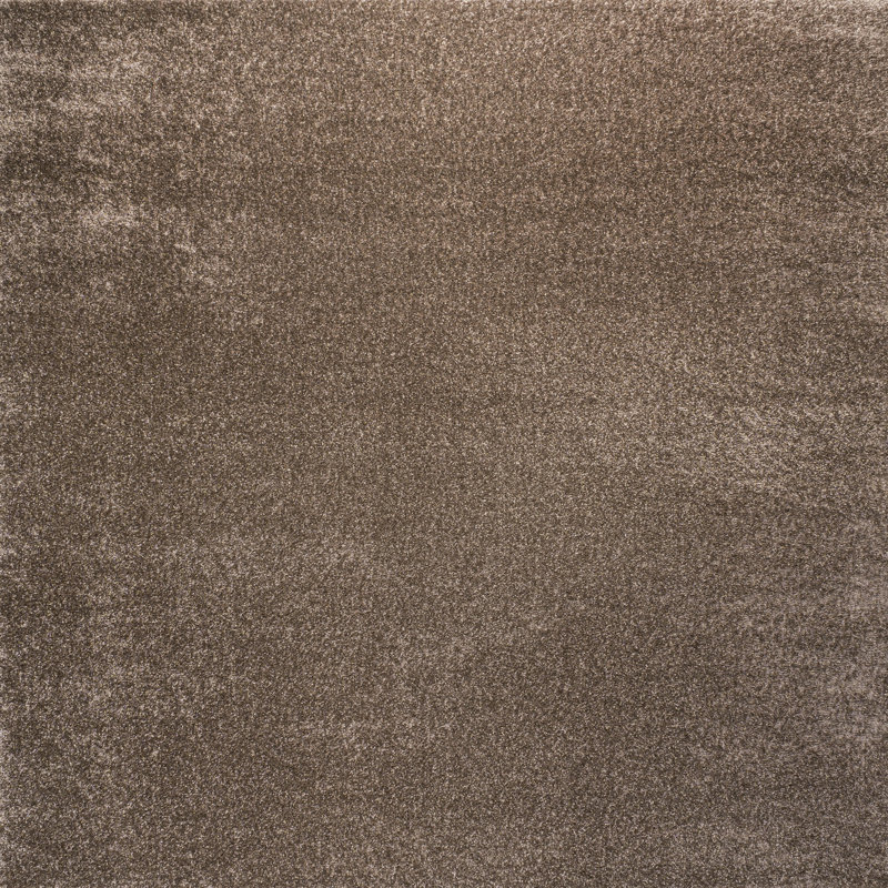 Tapis brun Antto, Carré 9 pi