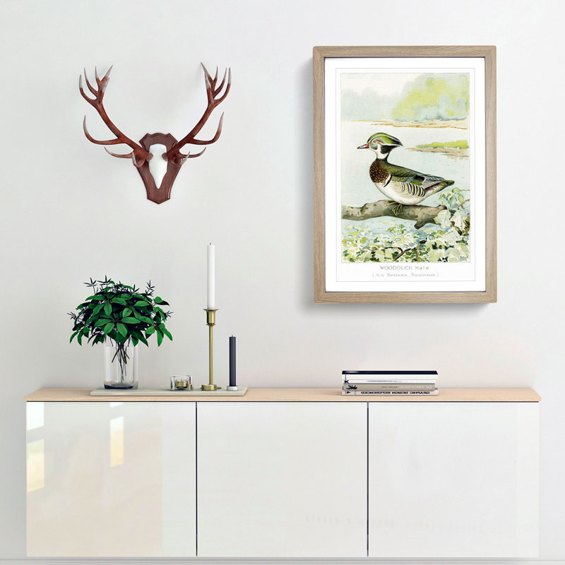 Male Wood Duck by J.L. Ridgway - Framed Print, 48cm H x 36cm W x 2cm D, Oak Framed