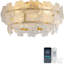 Ventilateur de plafond encastré en verre floral 20,5 "avec lumière dorée et profil bas avec télécommande et application Bluetooth pour chambre à coucher et petit appartement