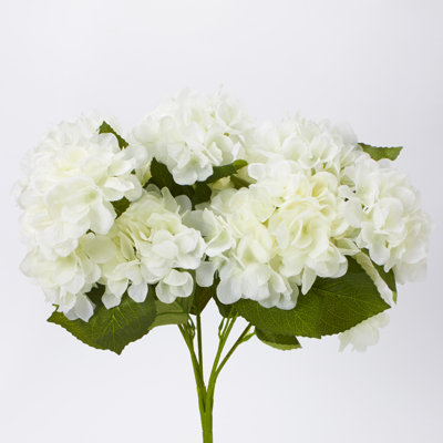 Hydrangea Arrangement