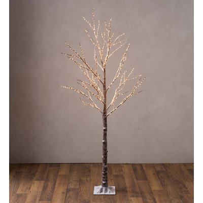 Lighted Trees & Branches