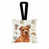 Norfolk Terrier Red sélectionné