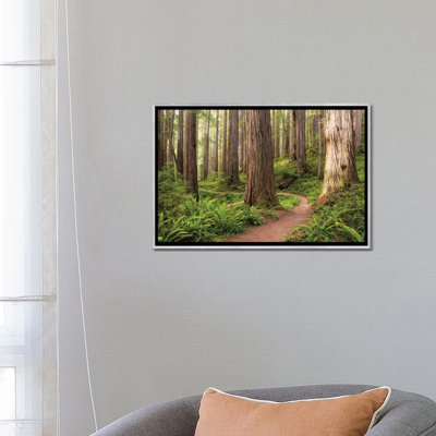 «Redwood Trail» par Stefan Hefele - reproduction de photo sur toile