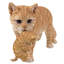 Statue de mère chat portant un chaton tigré