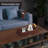 Sofa remote control holder with removable tray - for magazines, cell phones