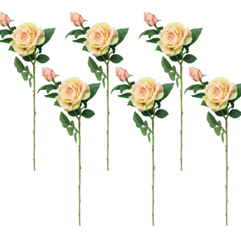 Tige de Steiner Roses