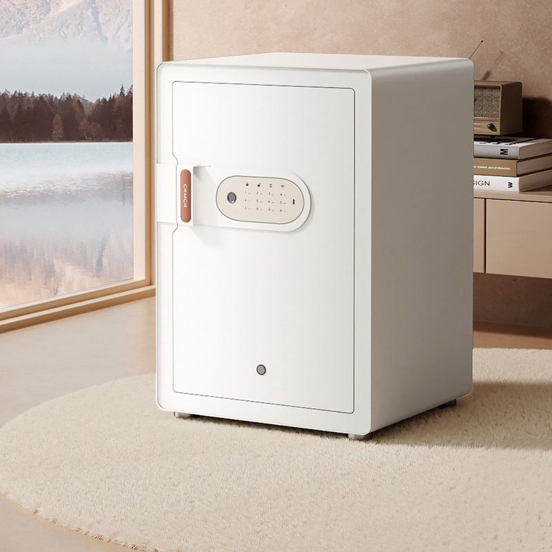 Armoire anti-vol 16,54 po