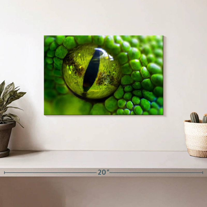 Brampt Green Python Eye, 8" H x 12" W