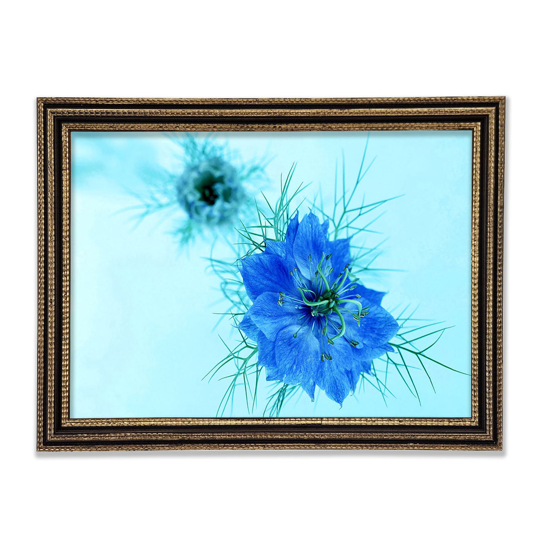 Blau auf blauer Blume - Druck